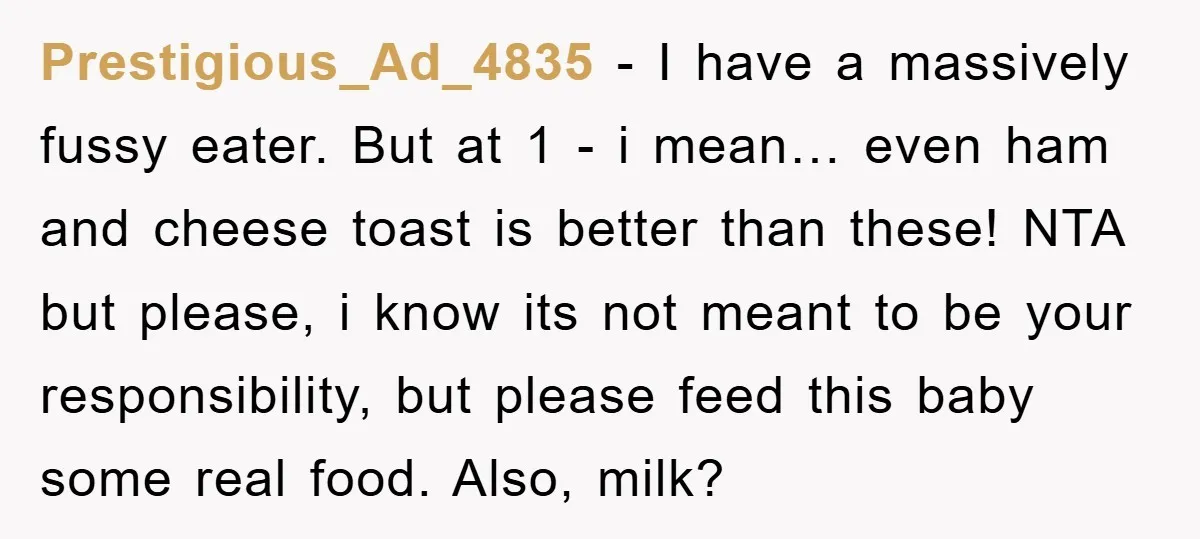 Prestigious_Ad_4835 − I have a massively fussy eater. But at 1 - i mean… even ham and cheese toast is better than these! NTA but please, i know its not...
