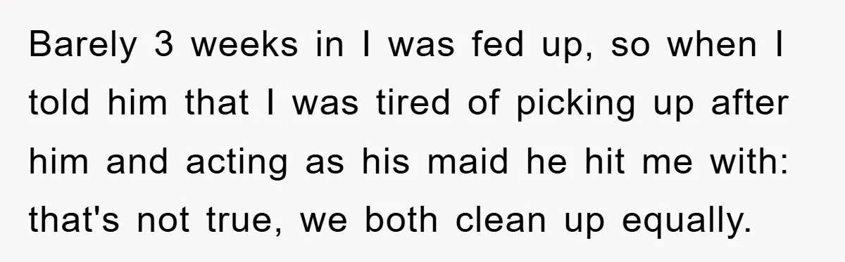 Barely 3 weeks in I was fed up, so when I told him that I was tired of picking up after him and acting as his maid he hit me...