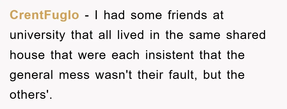 CrentFuglo − I had some friends at university that all lived in the same shared house that were each insistent that the general mess wasn't their fault, but the others'.