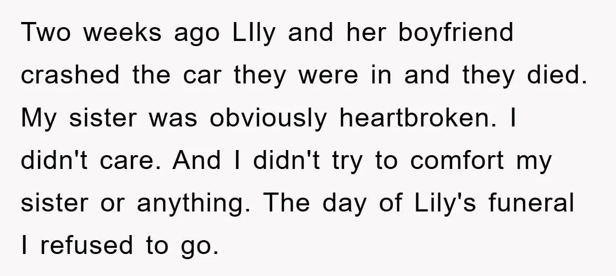 Two weeks ago LIly and her boyfriend crashed the car they were in and they died. My sister was obviously heartbroken. I didn't care. And I didn't try to comfort...