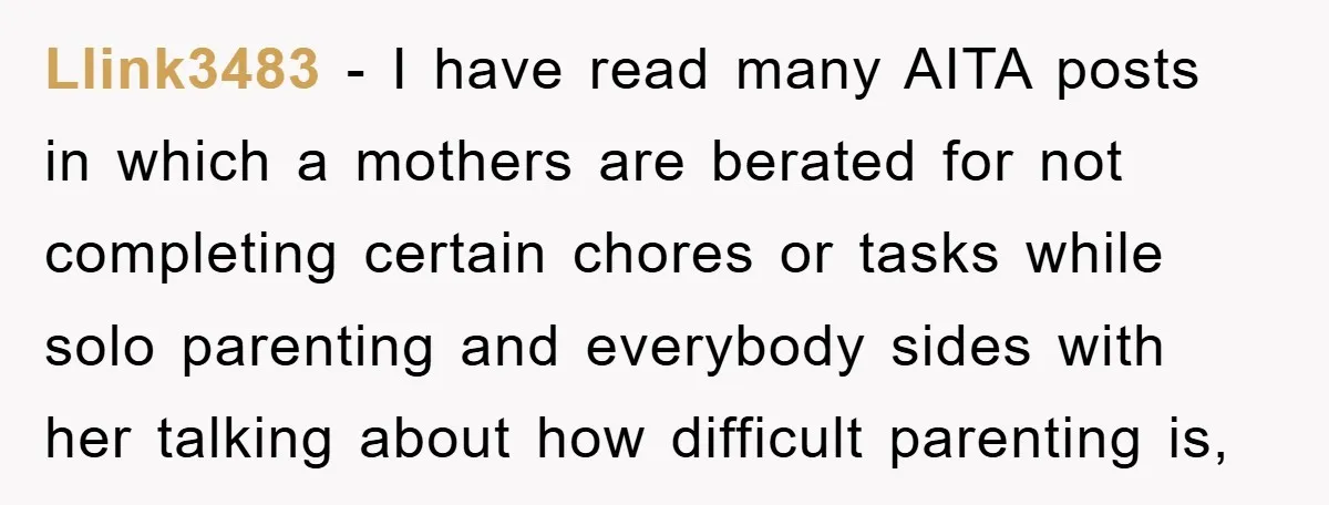 Llink3483 − I have read many AITA posts in which a mothers are berated for not completing certain chores or tasks while solo parenting and everybody sides with her talking...