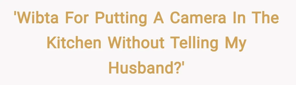 'WIBTA for putting a camera in the kitchen without telling my husband?'
