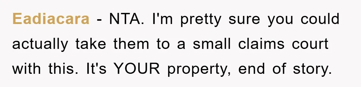 Eadiacara − NTA. I'm pretty sure you could actually take them to a small claims court with this. It's YOUR property, end of story.