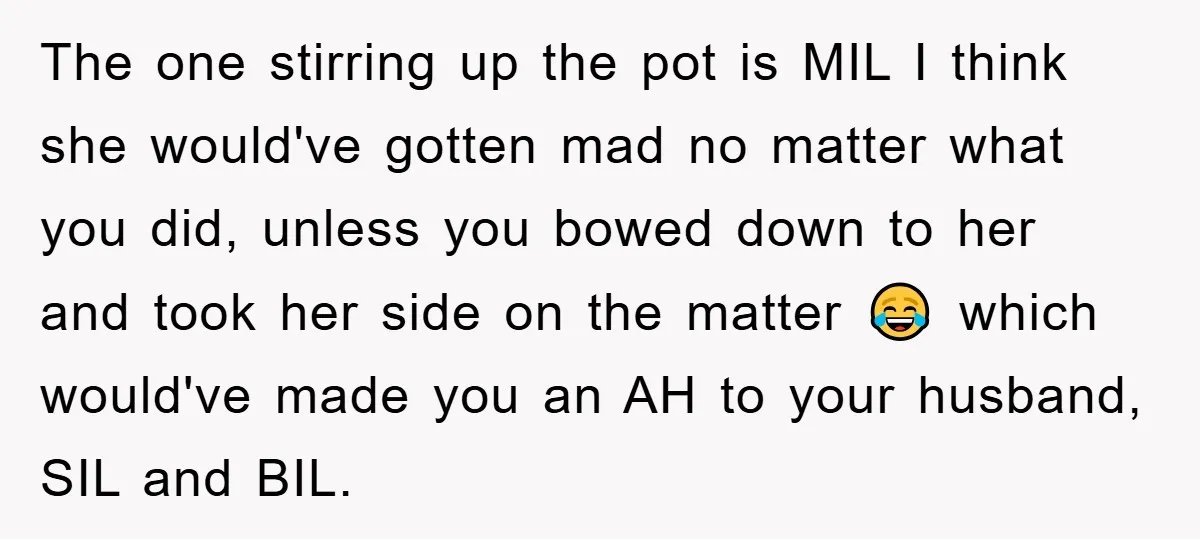 The one stirring up the pot is MIL I think she would've gotten mad no matter what you did, unless you bowed down to her and took her side on...