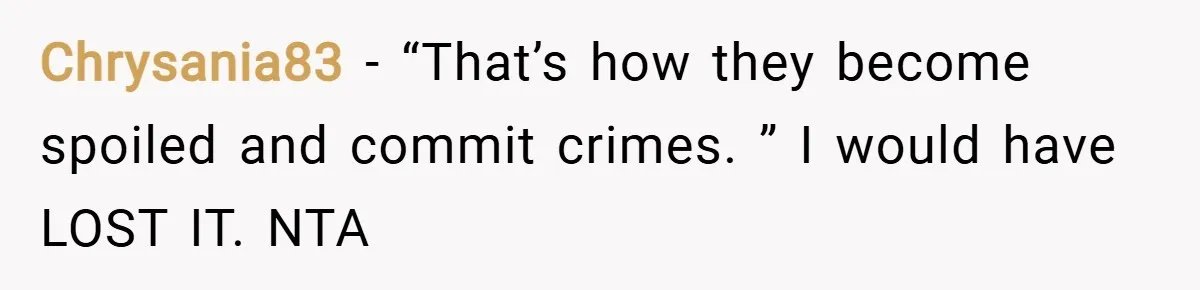 Chrysania83 − “That’s how they become spoiled and commit crimes. ” I would have LOST IT. NTA