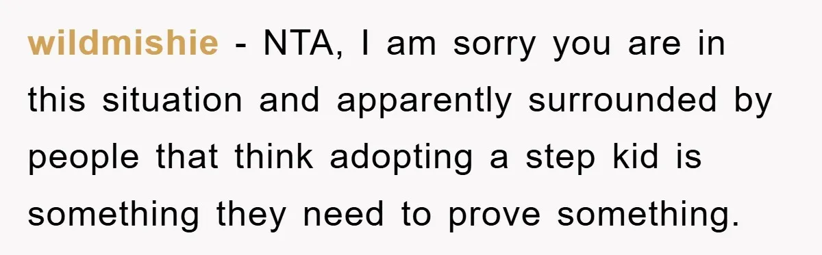 wildmishie − NTA, I am sorry you are in this situation and apparently surrounded by people that think adopting a step kid is something they need to prove something.