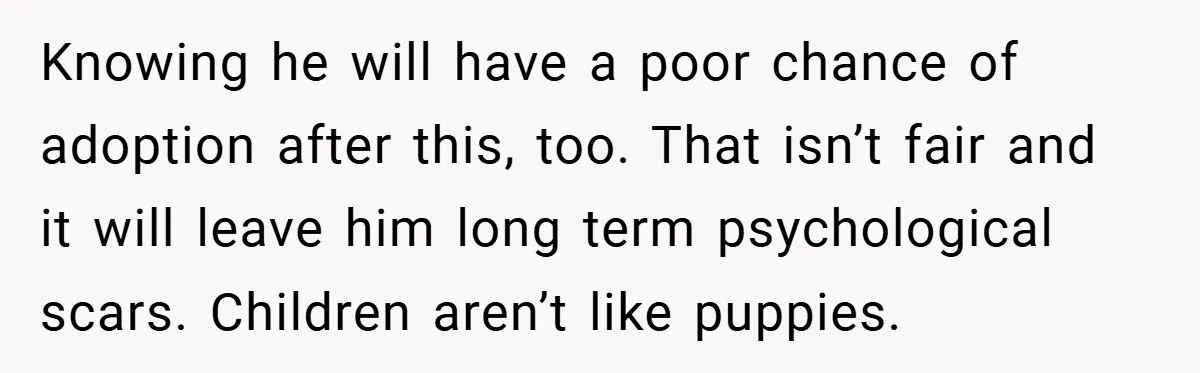 Knowing he will have a poor chance of adoption after this, too. That isn’t fair and it will leave him long term psychological scars. Children aren’t like puppies.