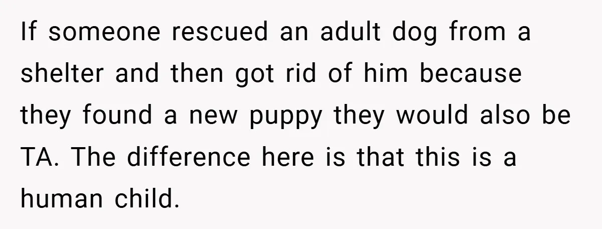 If someone rescued an adult dog from a shelter and then got rid of him because they found a new puppy they would also be TA. The difference here is...