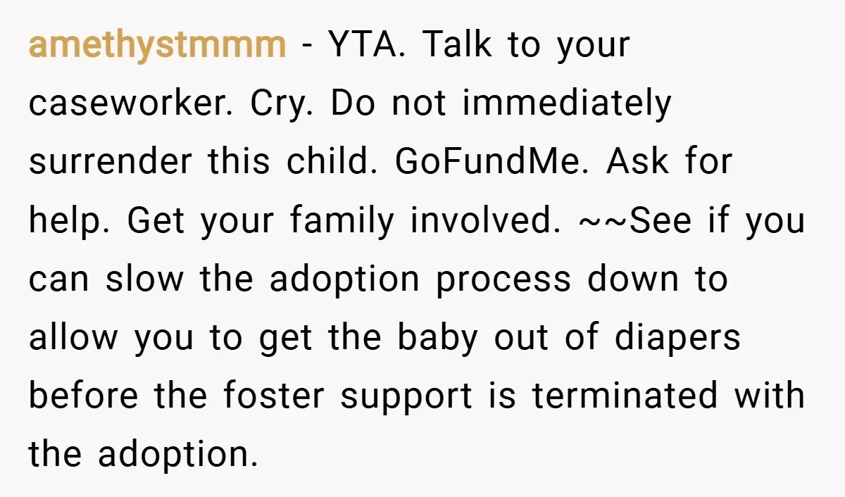 amethystmmm − YTA. Talk to your caseworker. Cry. Do not immediately surrender this child. GoFundMe. Ask for help. Get your family involved. ~~See if you can slow the adoption process...