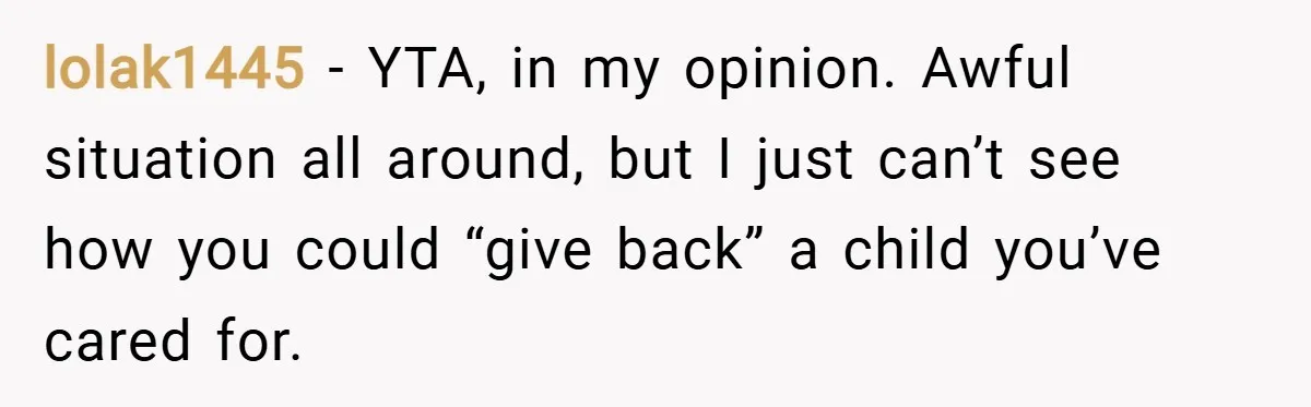 lolak1445 − YTA, in my opinion. Awful situation all around, but I just can’t see how you could “give back” a child you’ve cared for.