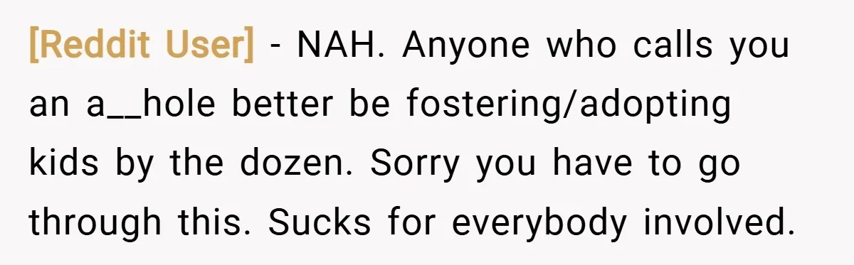 [Reddit User] − NAH. Anyone who calls you an a__hole better be fostering/adopting kids by the dozen. Sorry you have to go through this. Sucks for everybody involved.