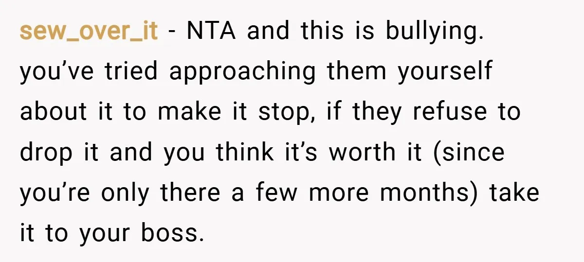 sew_over_it − NTA and this is bullying. you’ve tried approaching them yourself about it to make it stop, if they refuse to drop it and you think it’s worth it...