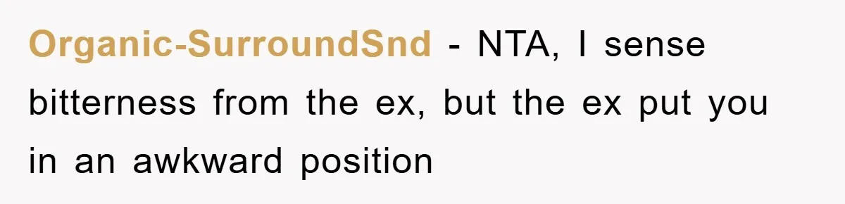 Organic-SurroundSnd − NTA, I sense bitterness from the ex, but the ex put you in an awkward position