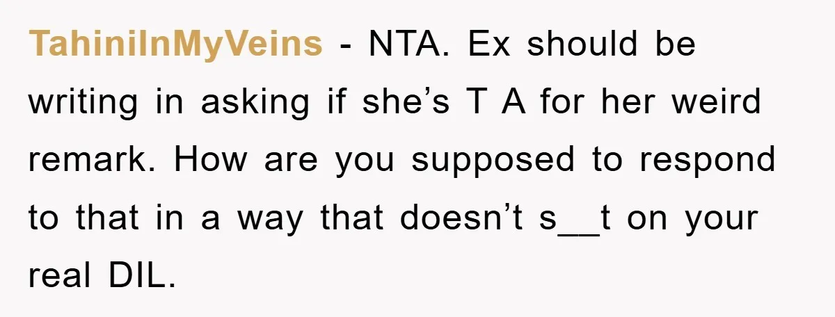 TahiniInMyVeins − NTA. Ex should be writing in asking if she’s T A for her weird remark. How are you supposed to respond to that in a way that doesn’t...