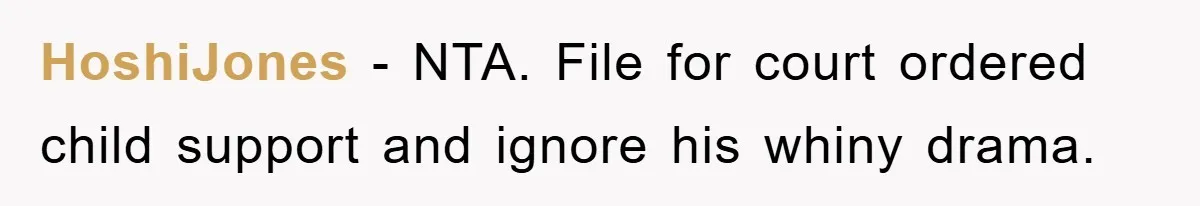 HoshiJones − NTA. File for court ordered child support and ignore his whiny drama.