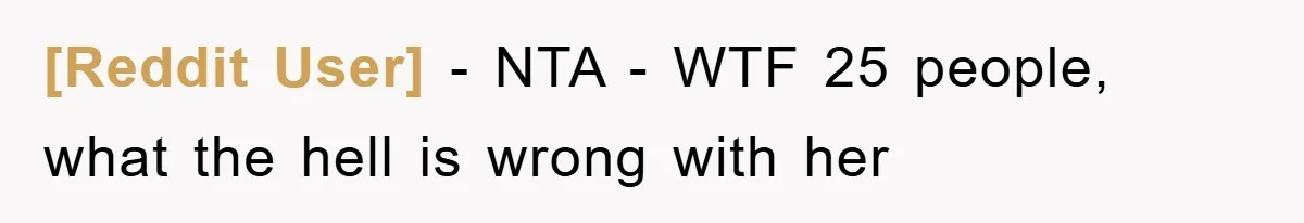 [Reddit User] − NTA - WTF 25 people, what the hell is wrong with her