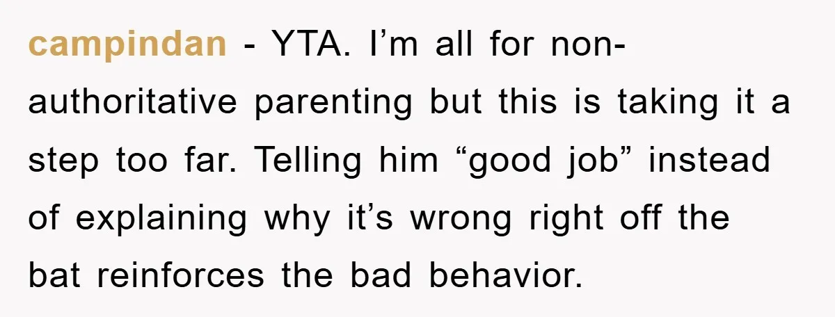 campindan − YTA. I’m all for non-authoritative parenting but this is taking it a step too far. Telling him “good job” instead of explaining why it’s wrong right off the...
