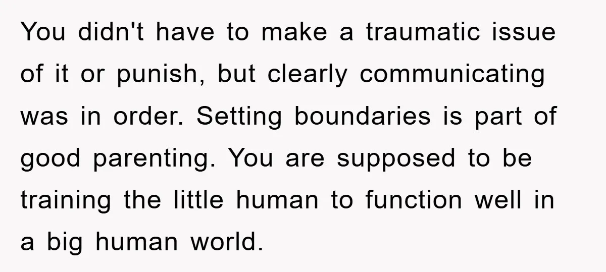 You didn't have to make a traumatic issue of it or punish, but clearly communicating was in order. Setting boundaries is part of good parenting. You are supposed to be...