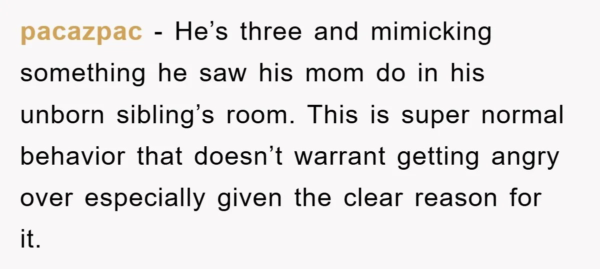 pacazpac − He’s three and mimicking something he saw his mom do in his unborn sibling’s room. This is super normal behavior that doesn’t warrant getting angry over especially given...