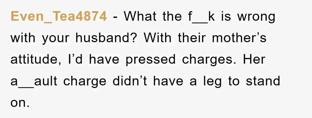 Even_Tea4874 − What the f__k is wrong with your husband? With their mother’s attitude, I’d have pressed charges. Her a__ault charge didn’t have a leg to stand on.