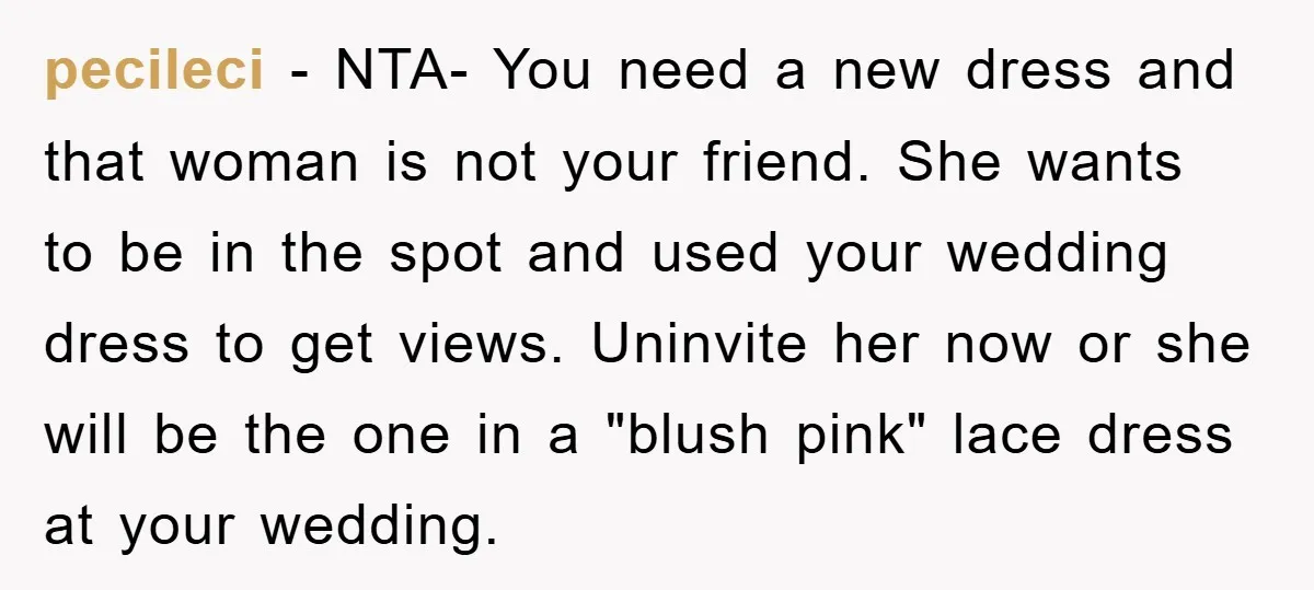 pecileci − NTA- You need a new dress and that woman is not your friend. She wants to be in the spot and used your wedding dress to get views....
