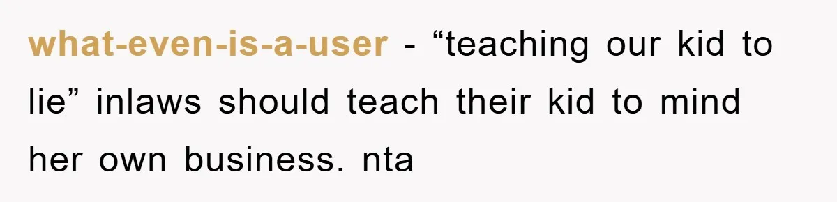 what-even-is-a-user − “teaching our kid to lie” inlaws should teach their kid to mind her own business. nta