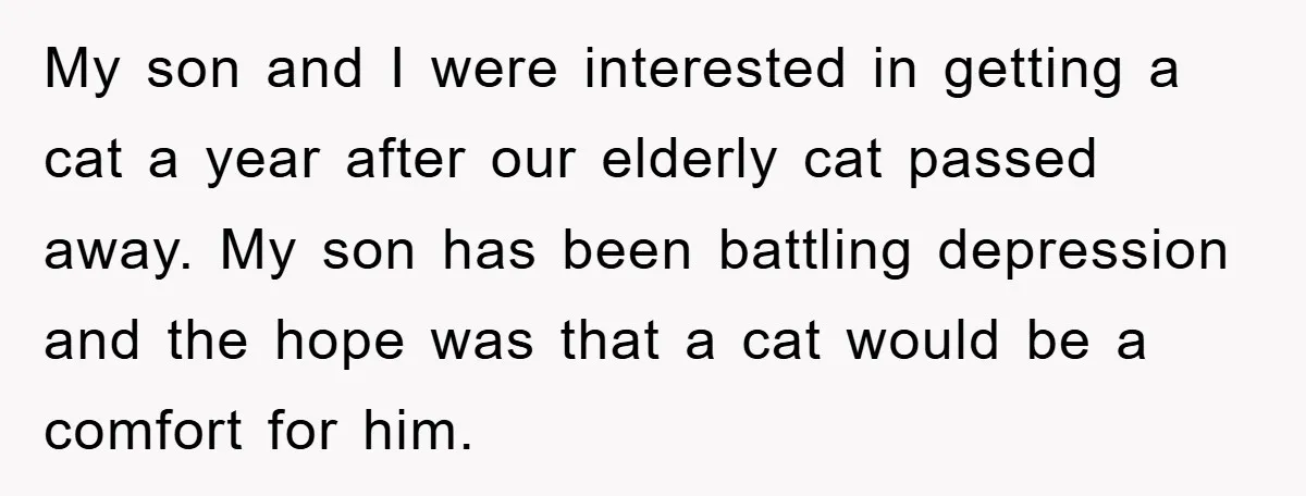 My son and I were interested in getting a cat a year after our elderly cat passed away. My son has been battling depression and the hope was that a...