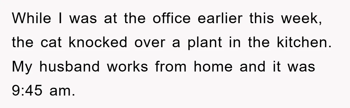 While I was at the office earlier this week, the cat knocked over a plant in the kitchen. My husband works from home and it was 9:45 am.