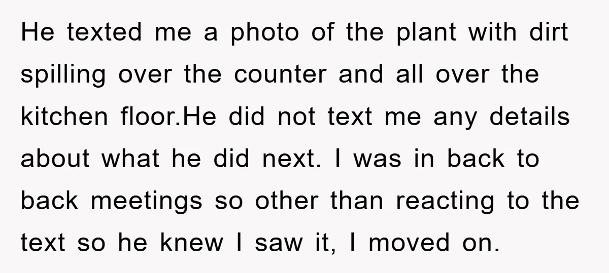 He texted me a photo of the plant with dirt spilling over the counter and all over the kitchen floor.He did not text me any details about what he did...
