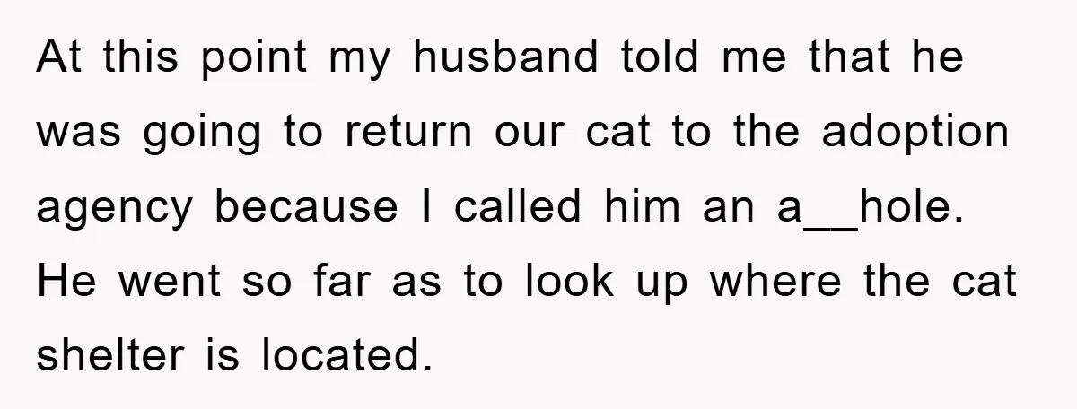 At this point my husband told me that he was going to return our cat to the adoption agency because I called him an a__hole. He went so far as...