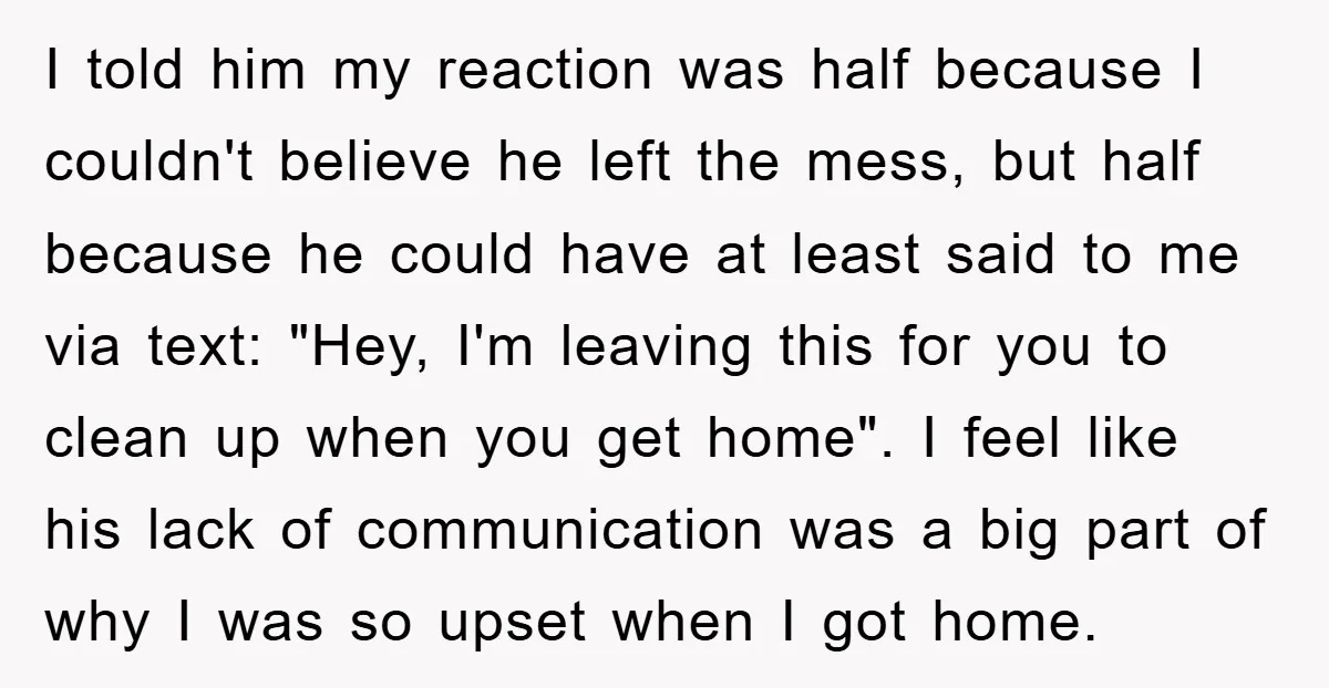 I told him my reaction was half because I couldn't believe he left the mess, but half because he could have at least said to me via text: "Hey, I'm...