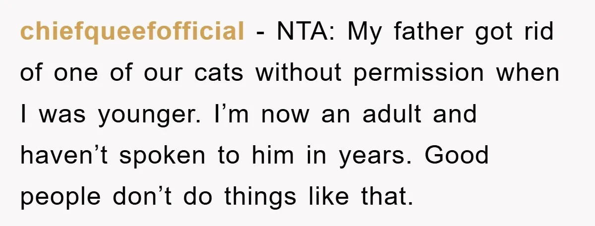 chiefqueefofficial - NTA: My father got rid of one of our cats without permission when I was younger. I’m now an adult and haven’t spoken to him in years. Good...