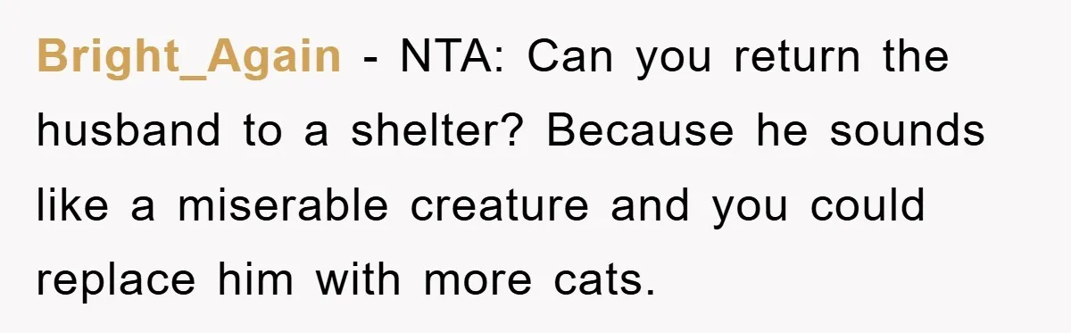 Bright_Again - NTA: Can you return the husband to a shelter? Because he sounds like a miserable creature and you could replace him with more cats.