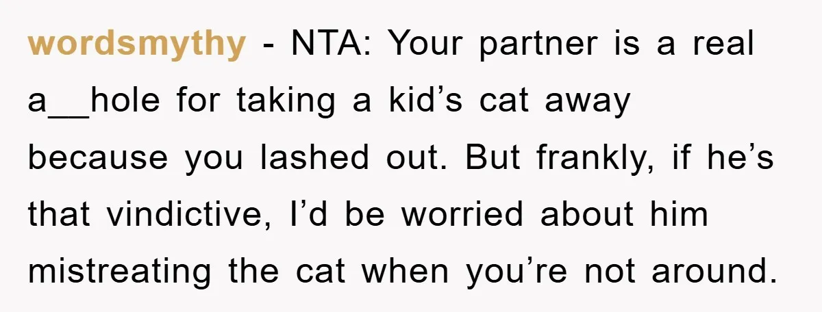 wordsmythy - NTA: Your partner is a real a__hole for taking a kid’s cat away because you lashed out. But frankly, if he’s that vindictive, I’d be worried about him...
