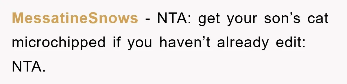 MessatineSnows - NTA: get your son’s cat microchipped if you haven’t already edit: NTA.