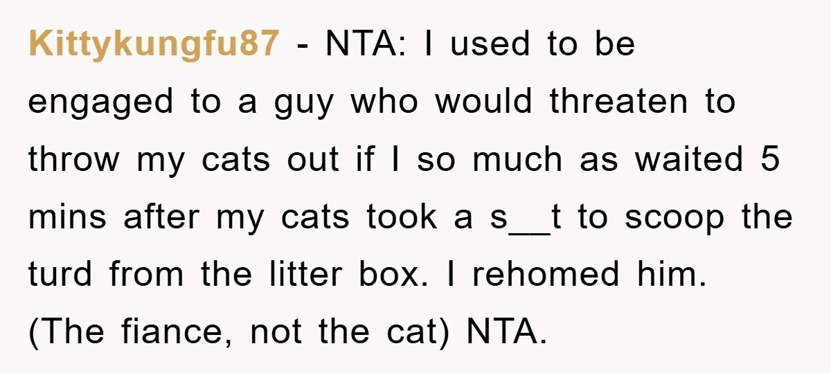 Kittykungfu87 - NTA: I used to be engaged to a guy who would threaten to throw my cats out if I so much as waited 5 mins after my cats...