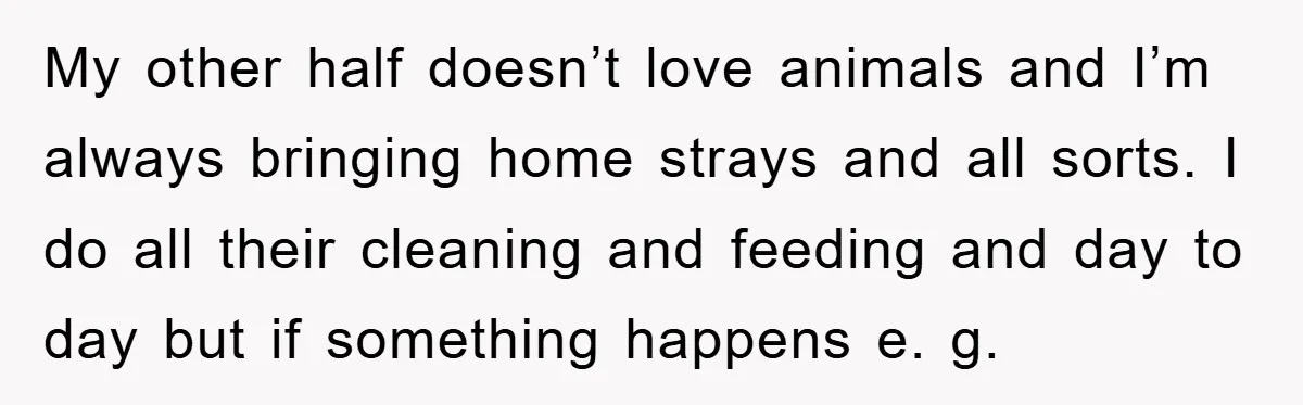 My other half doesn’t love animals and I’m always bringing home strays and all sorts. I do all their cleaning and feeding and day to day but if something happens...