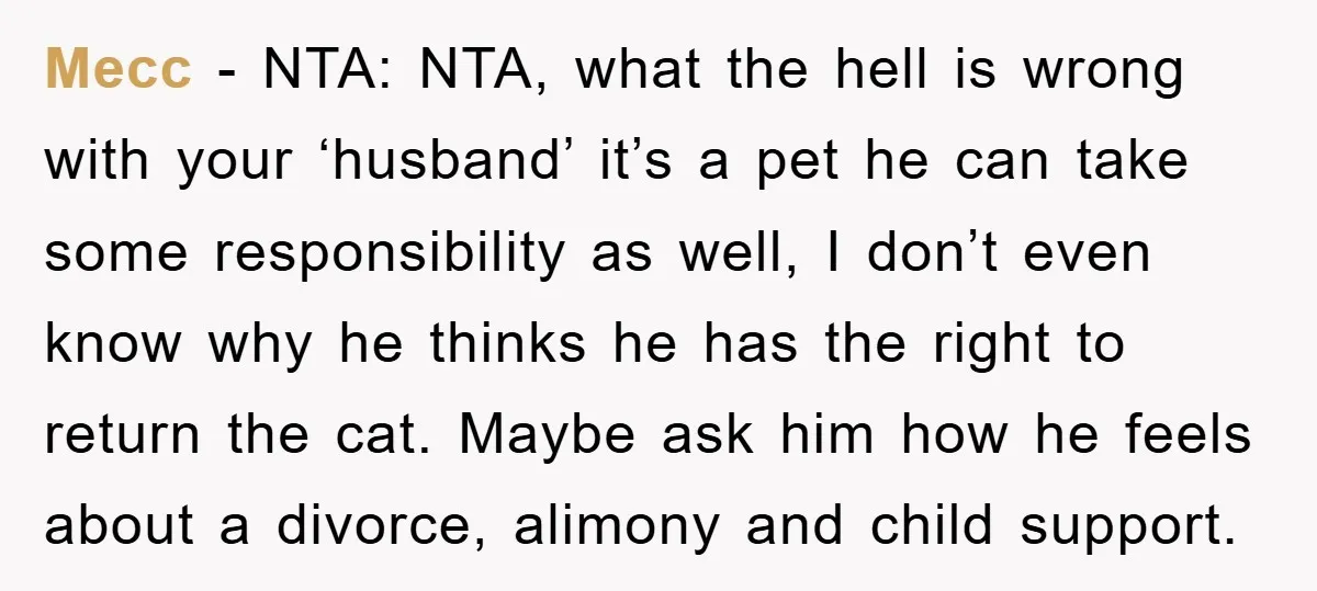 Mecc - NTA: NTA, what the hell is wrong with your ‘husband’ it’s a pet he can take some responsibility as well, I don’t even know why he thinks he...