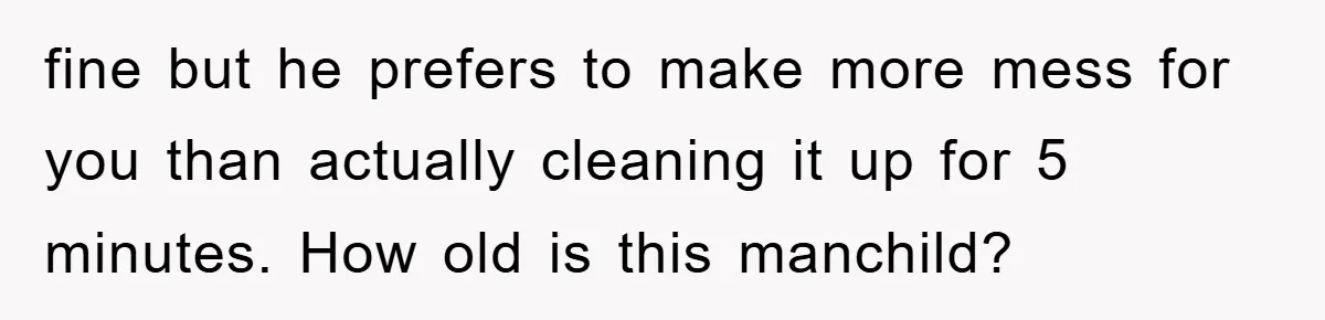 fine but he prefers to make more mess for you than actually cleaning it up for 5 minutes. How old is this manchild?