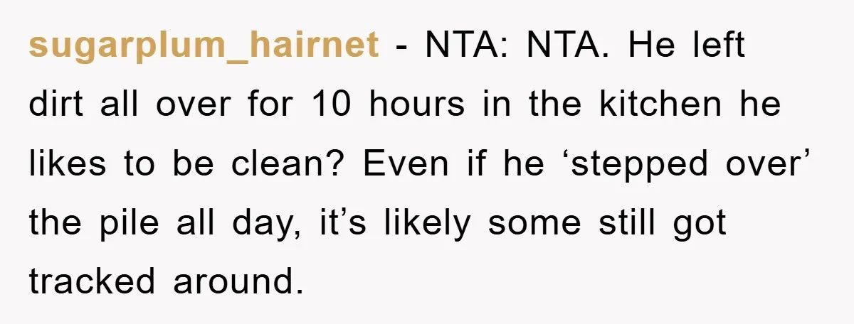 sugarplum_hairnet - NTA: NTA. He left dirt all over for 10 hours in the kitchen he likes to be clean? Even if he ‘stepped over’ the pile all day, it’s...