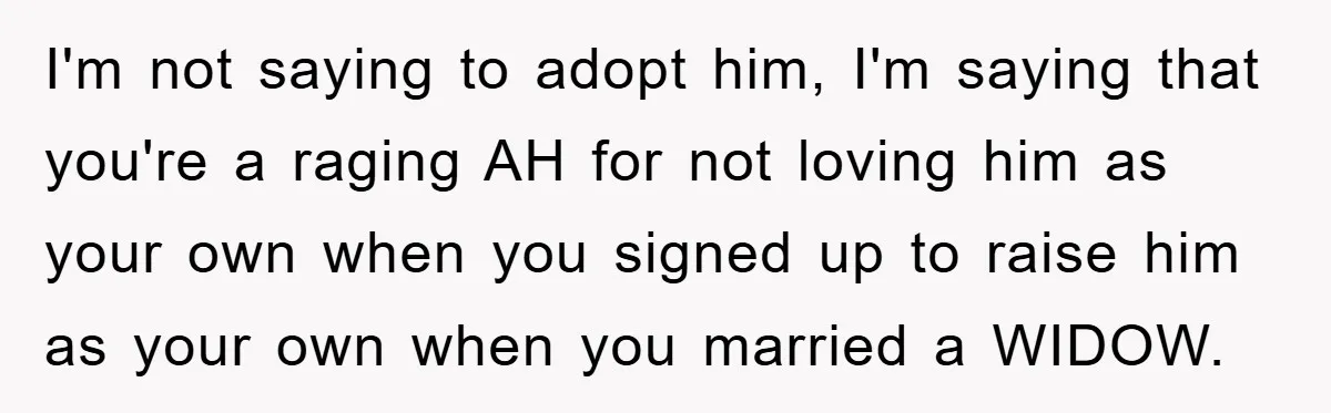 I'm not saying to adopt him, I'm saying that you're a raging AH for not loving him as your own when you signed up to raise him as your own...