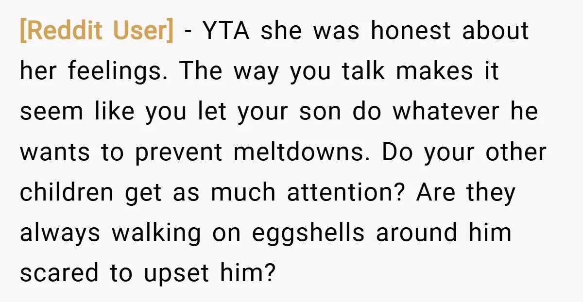 [Reddit User] − YTA she was honest about her feelings. The way you talk makes it seem like you let your son do whatever he wants to prevent meltdowns. Do...