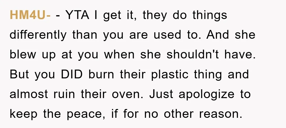 HM4U- − YTA I get it, they do things differently than you are used to. And she blew up at you when she shouldn't have. But you DID burn their...