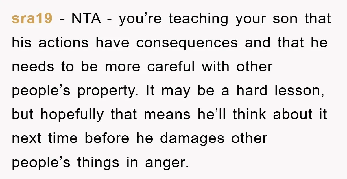 sra19 − NTA - you’re teaching your son that his actions have consequences and that he needs to be more careful with other people’s property. It may be a hard...