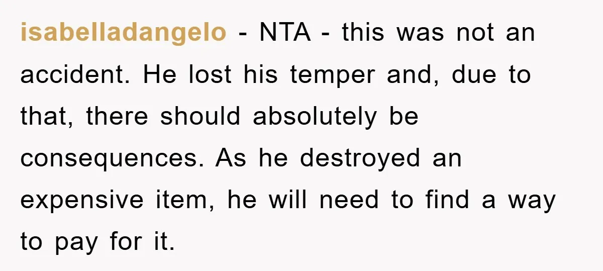 isabelladangelo − NTA - this was not an accident. He lost his temper and, due to that, there should absolutely be consequences. As he destroyed an expensive item, he will...