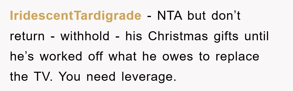 IridescentTardigrade − NTA but don’t return - withhold - his Christmas gifts until he’s worked off what he owes to replace the TV. You need leverage.