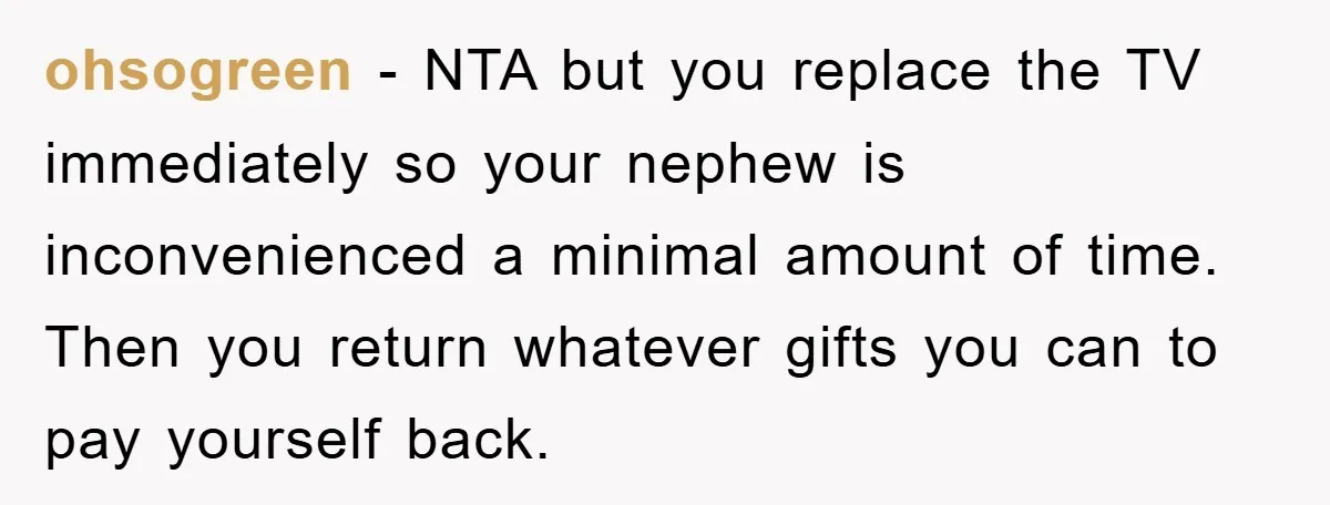 ohsogreen − NTA but you replace the TV immediately so your nephew is inconvenienced a minimal amount of time. Then you return whatever gifts you can to pay yourself back.