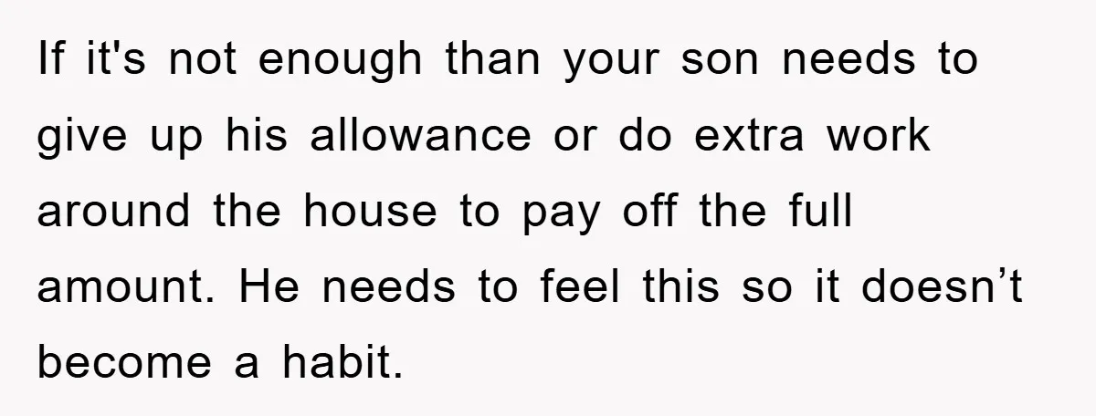 If it's not enough than your son needs to give up his allowance or do extra work around the house to pay off the full amount. He needs to feel...
