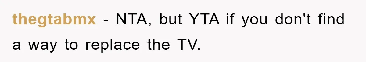 thegtabmx − NTA, but YTA if you don't find a way to replace the TV.