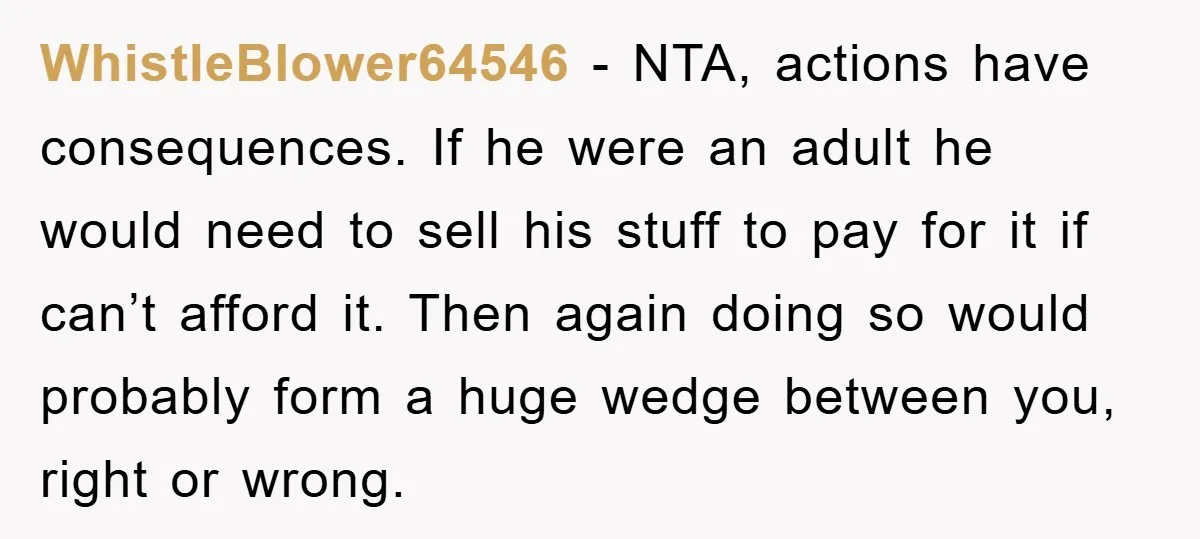 WhistleBlower64546 − NTA, actions have consequences. If he were an adult he would need to sell his stuff to pay for it if can’t afford it. Then again doing so...